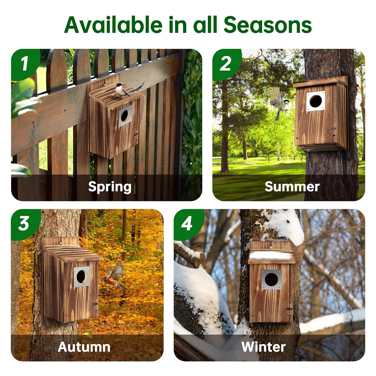 Bird Houses for Outside with Metal Predator Guard for Bluebird Wren Swallow Finch, Carbonized Wooden Nesting Boxes for Outdoor, Sturdy Bird House,Easy to Clean