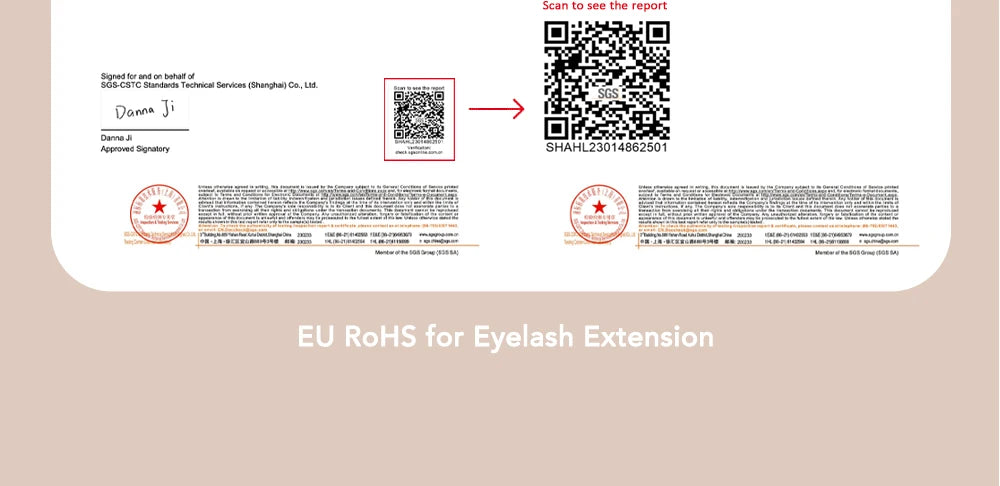 DIYDAY YY Shape Eyelash Extension C D L LU(M) N Curl Brown Lash Natural Soft Premade Volume Fans Two Tips Y-Shaped False Eyelash