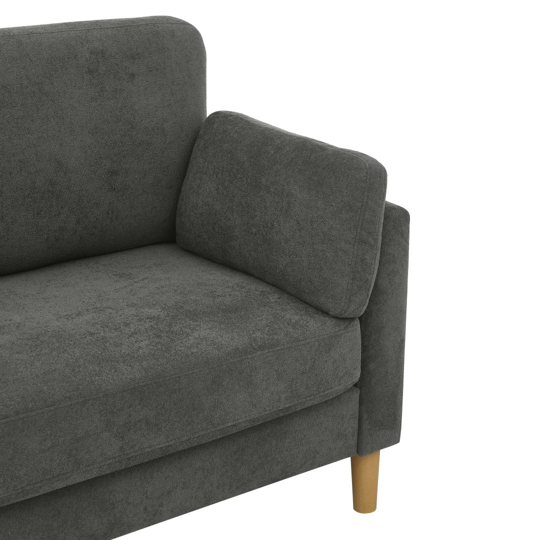 Modern Minimalist 2-Seater Sofa