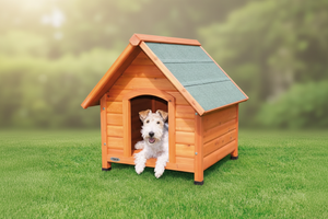Doghouse with a dog peeking out in a grassy outdoor setting