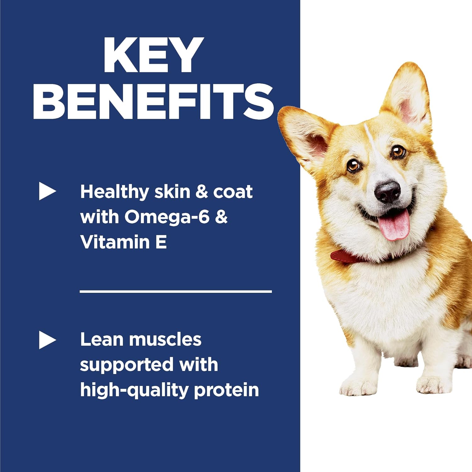 Hill's Science Diet Adult 1-6, Adult 1-6 Premium Nutrition, Small Kibble, Dry Dog Food, Lamb & Brown Rice, 4.5 lb Bag