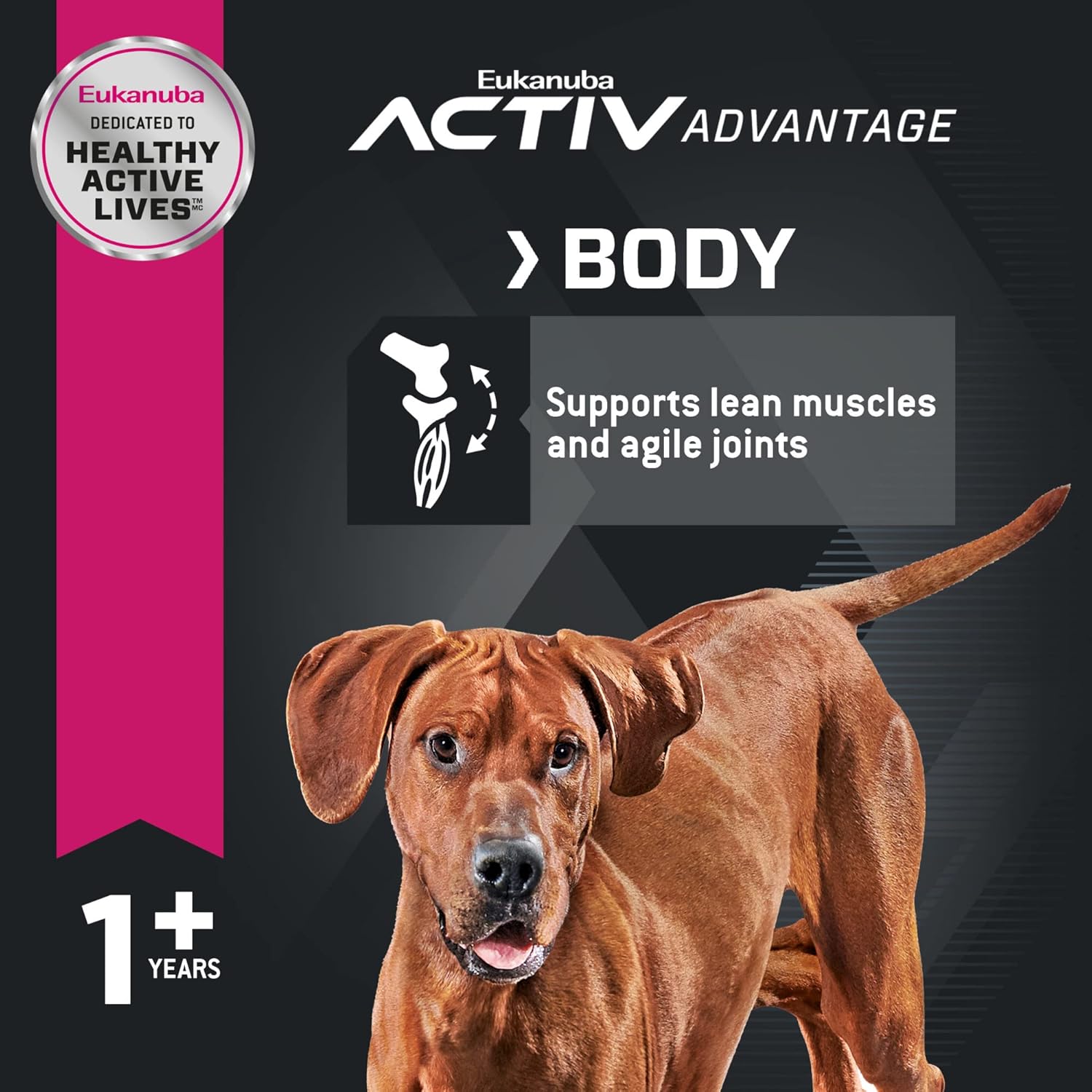 Eukanuba Adult Large Breed Dry Dog Food, 30 lb Bag