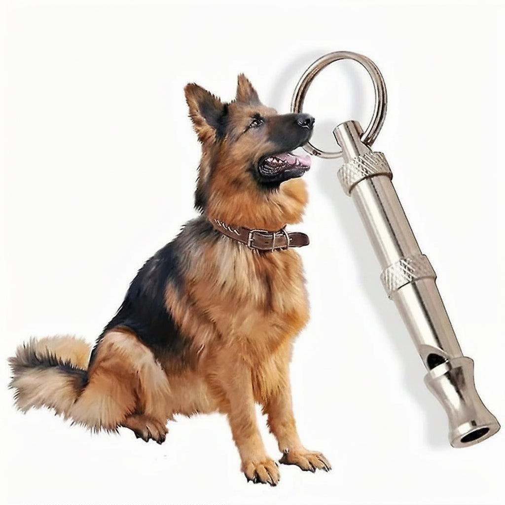 Dog with a silver dog whistle and '2 pcs' text on a white background