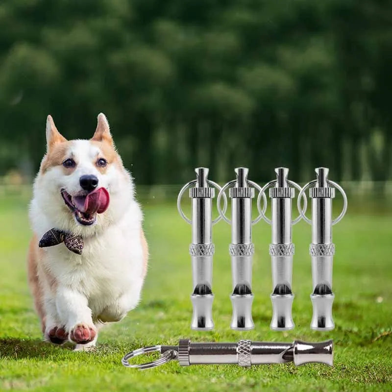Dog running on grass with a set of metal dog whistles in the foreground