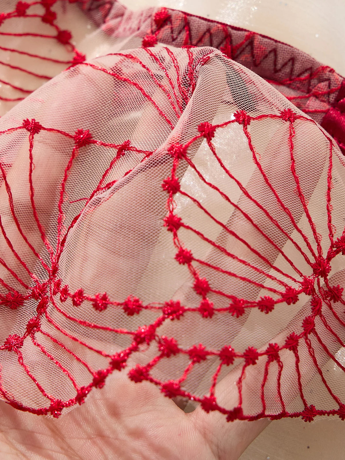 Wine Red Embroidered Mesh Bra & Thong Set