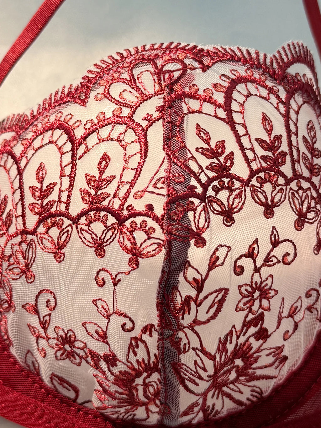 Red Floral Lace Bra & Thong Set