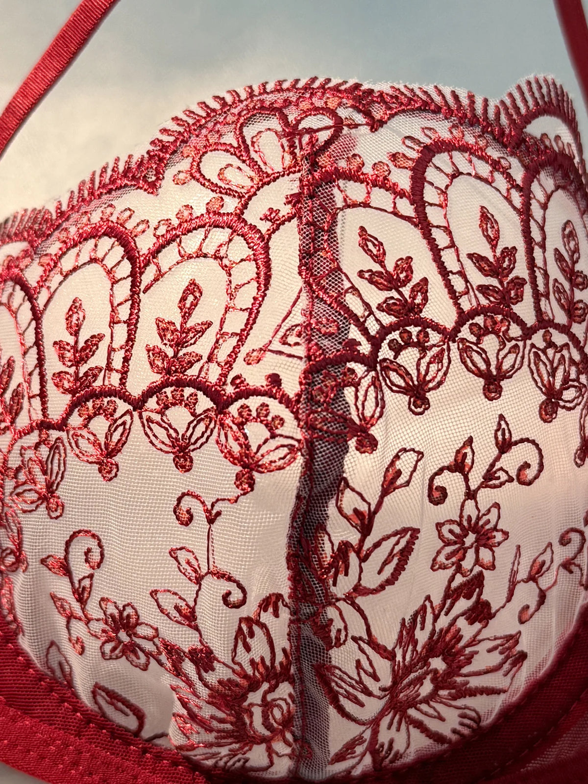 Red Floral Lace Bra & Thong Set