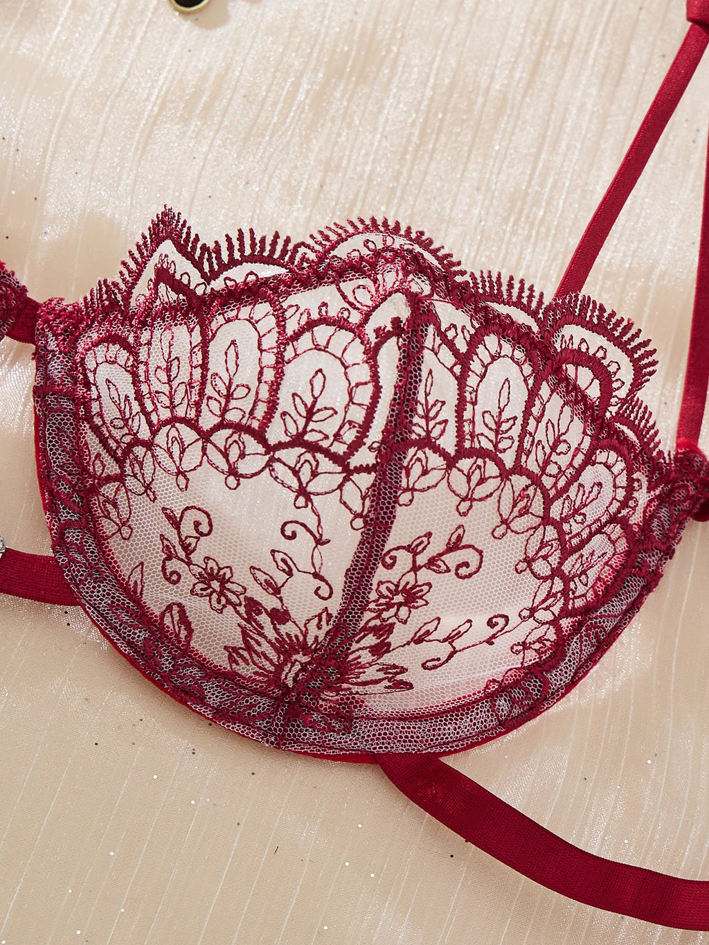 Wine Red Floral Embroidered Bra & Tie-Side Thong Set