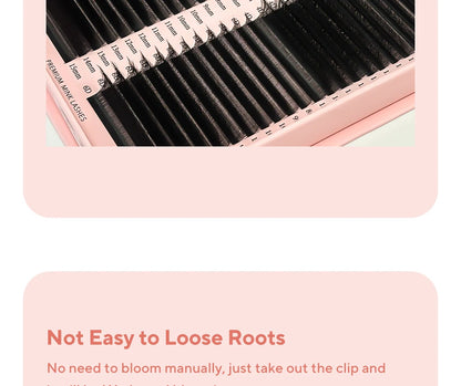48-Row W-Shape Premade Lash Extensions