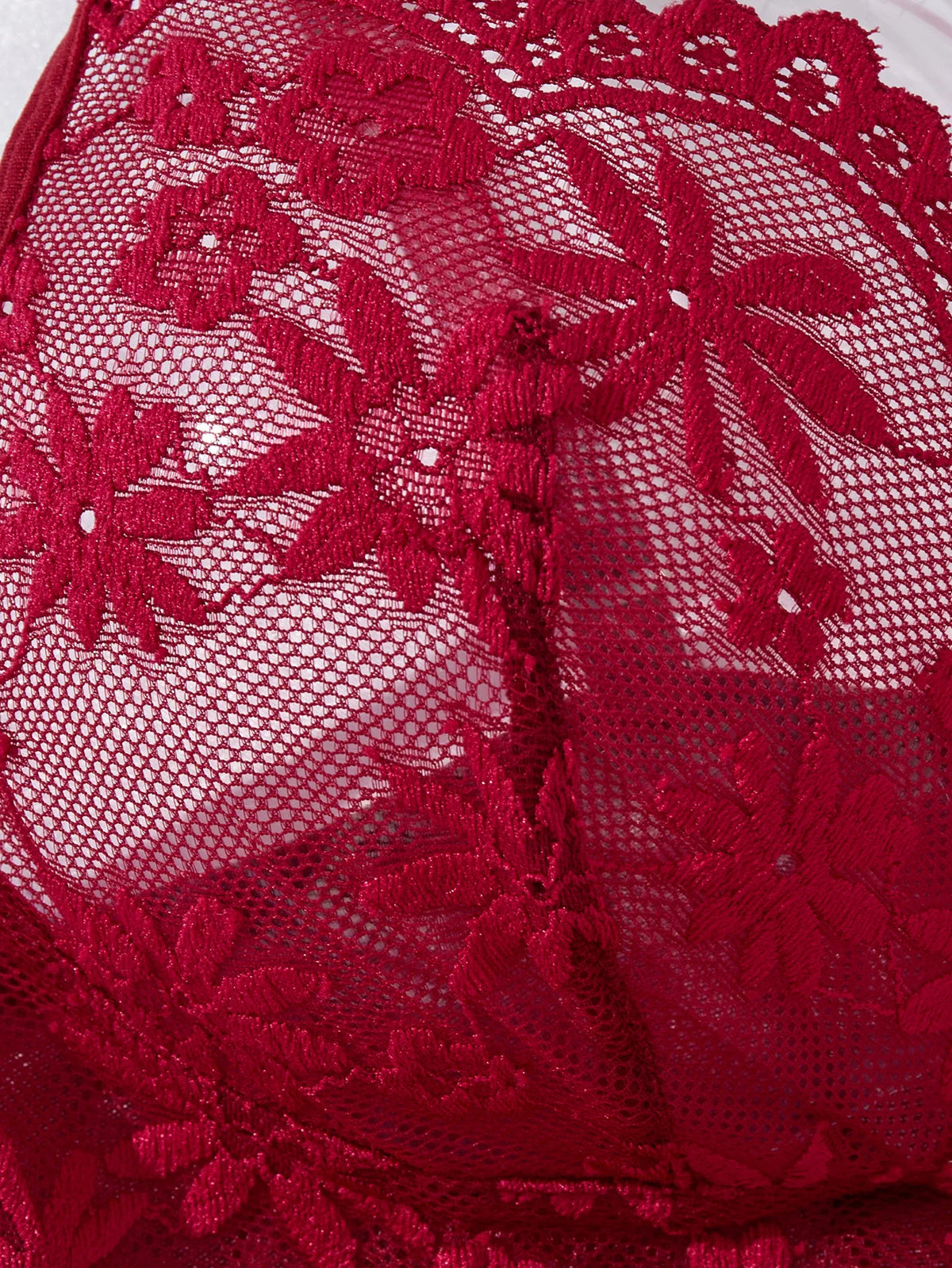 Wine Red Lace Mesh Nightgown Set