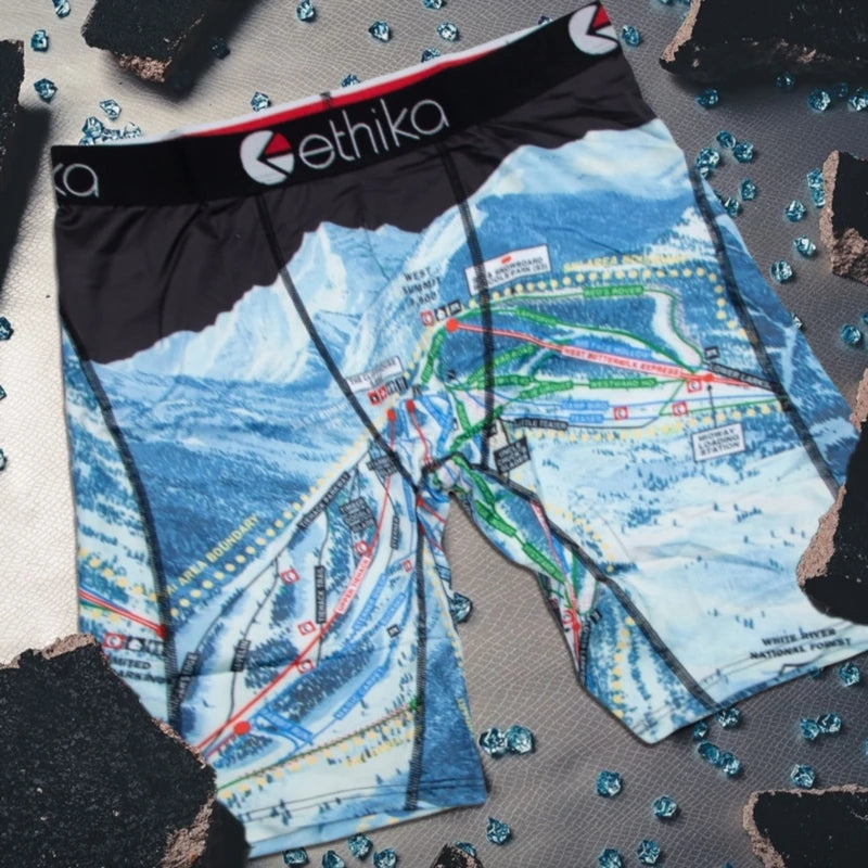 ETHIKA 1Pcs Men Underwear Boxers Breathable Mesh Crotch Man Underpants Plus Size Mens Panties L-3XL Printed Men's Boxers Briefs