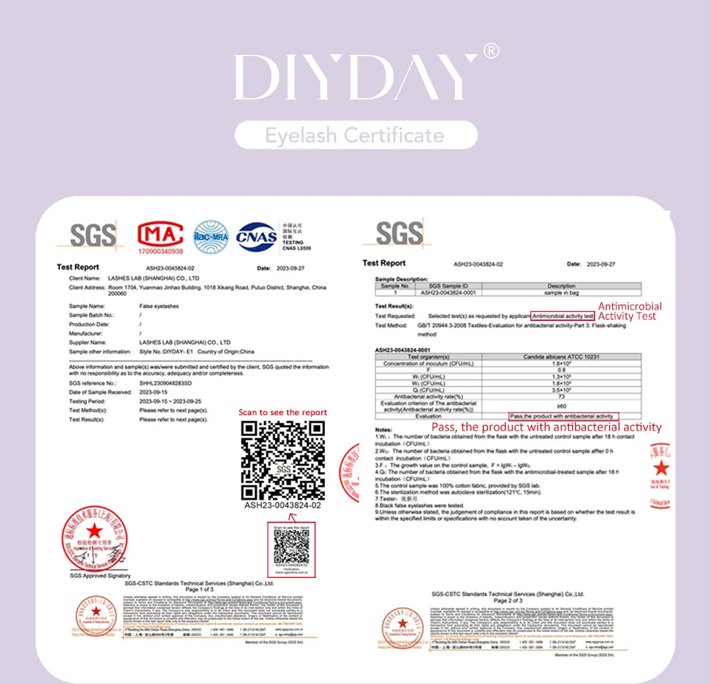 DIYDAY W-Shape Eyelash Extension 3d 4d 5d 6d 7d 8d W Lashes Natural Soft Premade Fan Bloom Effect Eye Lashes for Beauty Makeup