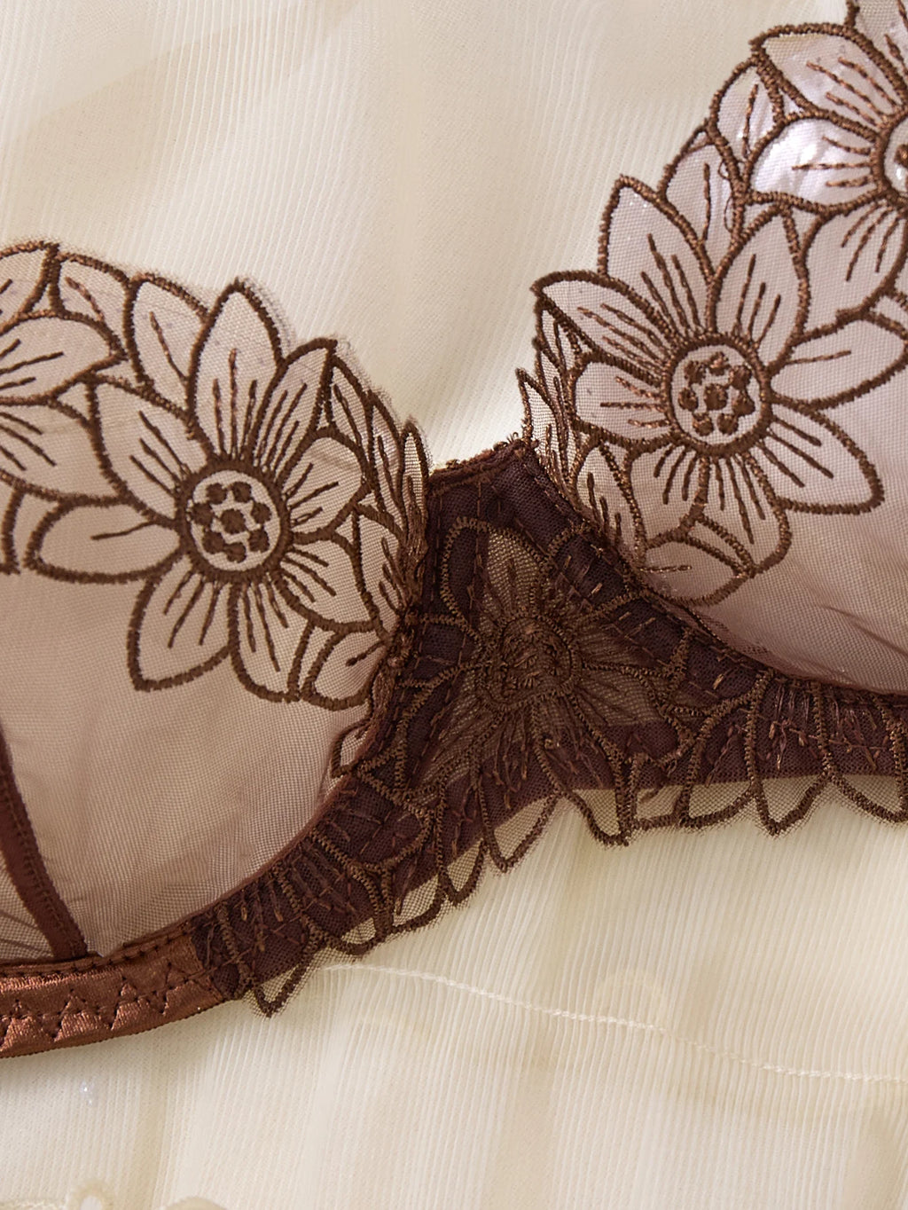 Coffee Brown Floral Embroidered Bra & Thong Set