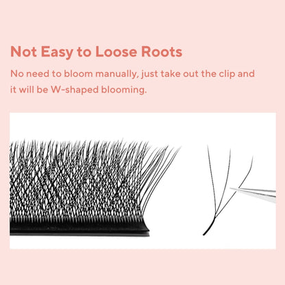 48-Row W-Shape Premade Lash Extensions