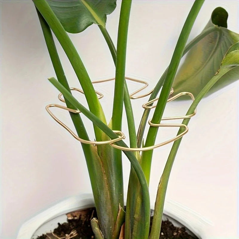 Large hanging plant stand, iron hooks, suitable for flowerpot decoration, indoor and outdoor use