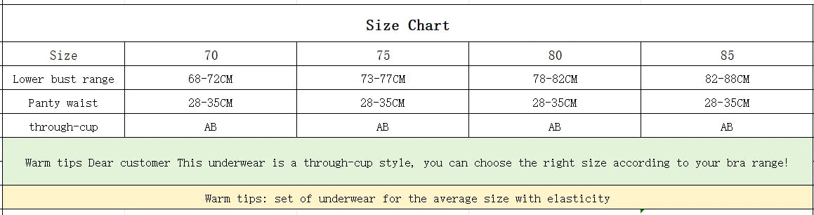 Women's Embroidered Lace Push-Up Bra Set