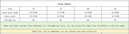 Women's Embroidered Lace Push-Up Bra Set