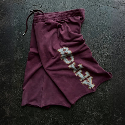 Y2K Maroon Reflective Baggy Shorts