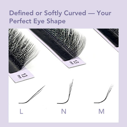 DIYDAY L / LU(M) / N 3D 4D 5D W Shape Eyelash Extension W Style Faux Mink Eyelashes Premade Volume Fan Lashes Supplies