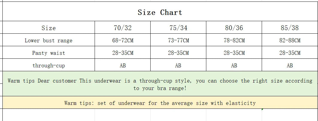 Women's Embroidered Lace Wireless Bra Set