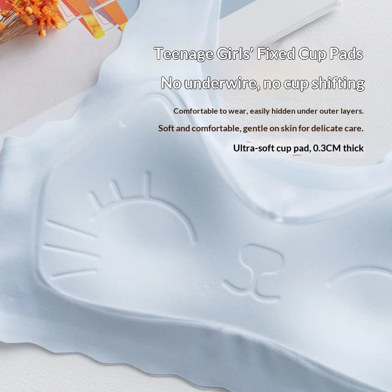 Wireless Ice-Silk Comfort Bra
