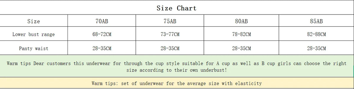 Women's Embroidered Lace Support Bra Set