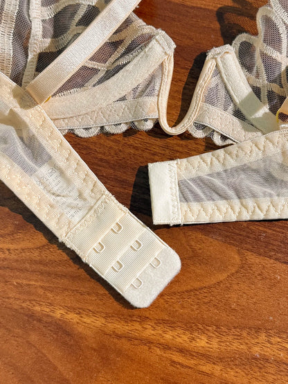 Women's Beige Lace Mesh Bra & Panty Set