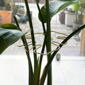 Large hanging plant stand, iron hooks, suitable for flowerpot decoration, indoor and outdoor use