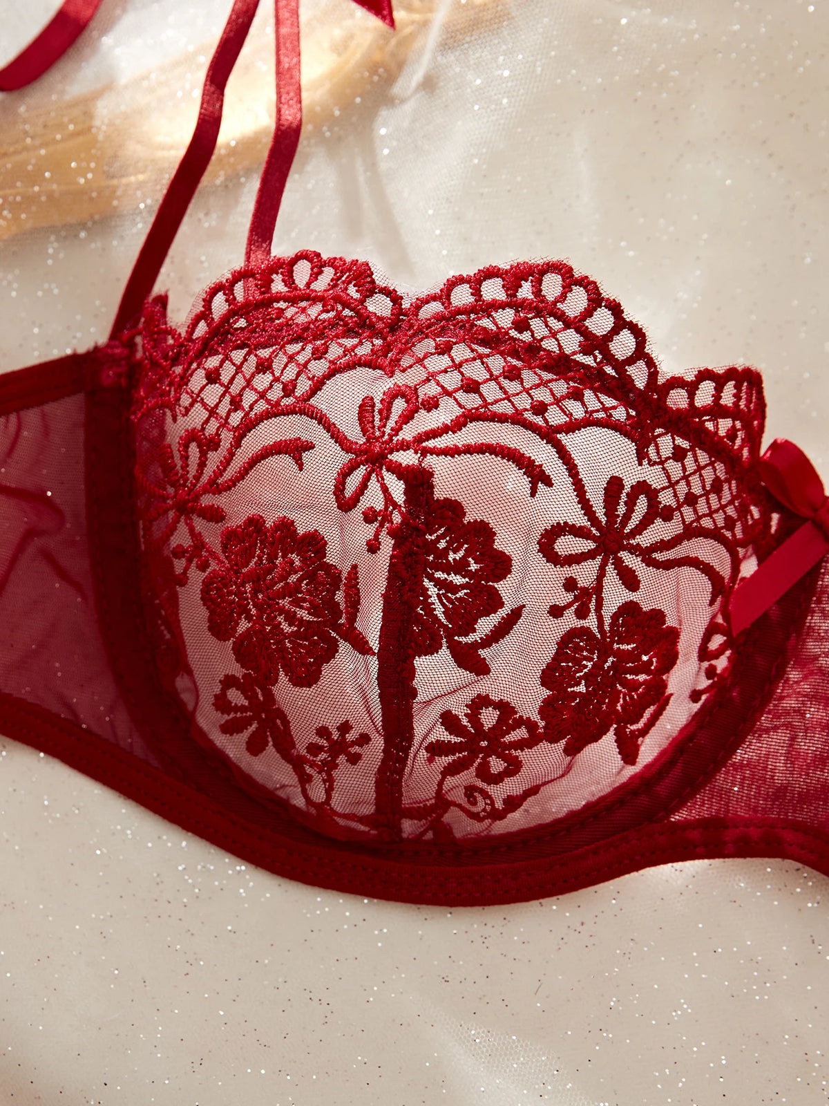Women's Sheer Floral Embroidered Lingerie Set