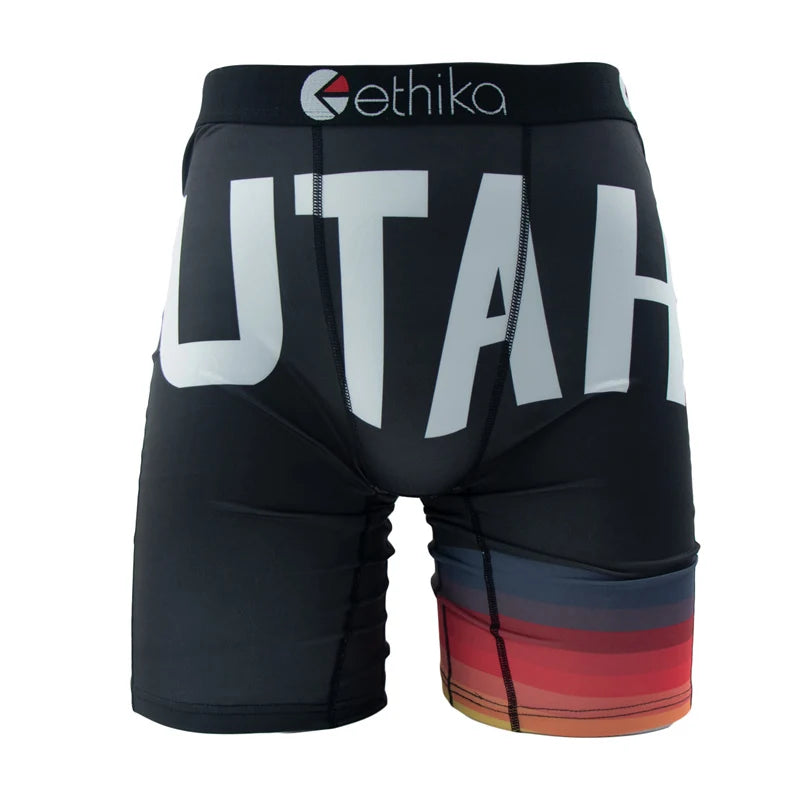 ETHIKA Men Underwear Boxers 1Pcs Breathable Mesh Crotch Man Swimming Underpants Plus Size L-3XL Mens Panties Men's Boxers Briefs