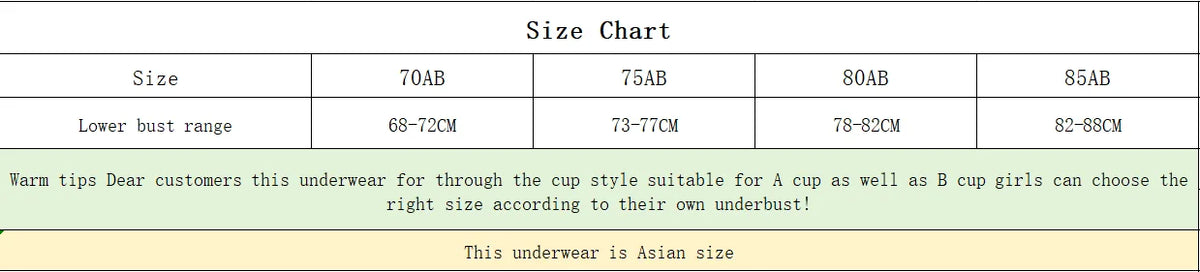 Women's Lace Bra & Panty Set