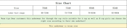 Women's Lace Bra & Panty Set