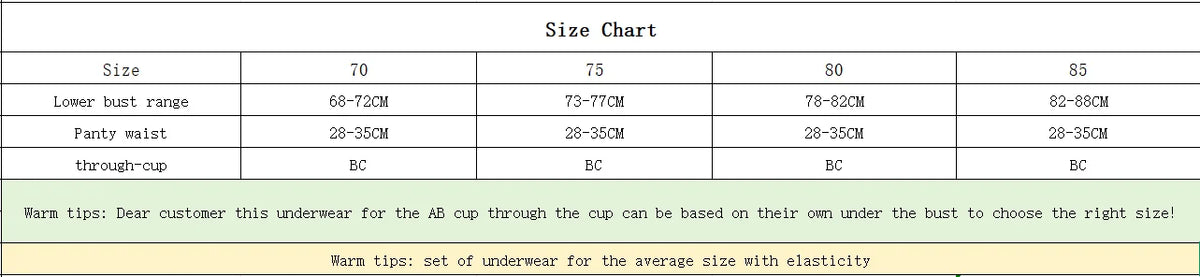 Women's Satin Lace Support Bra Set