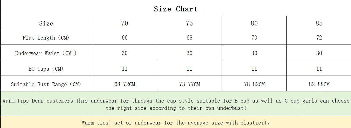 Women's Embroidered Lace Bra Set