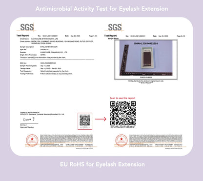 DIYDAY W Shape Eyelash Extension 3d 4d 5d 6d 7d 8d W-Shaped Eyelashes Premade Fans Individual BASF Mink Faux Lashes