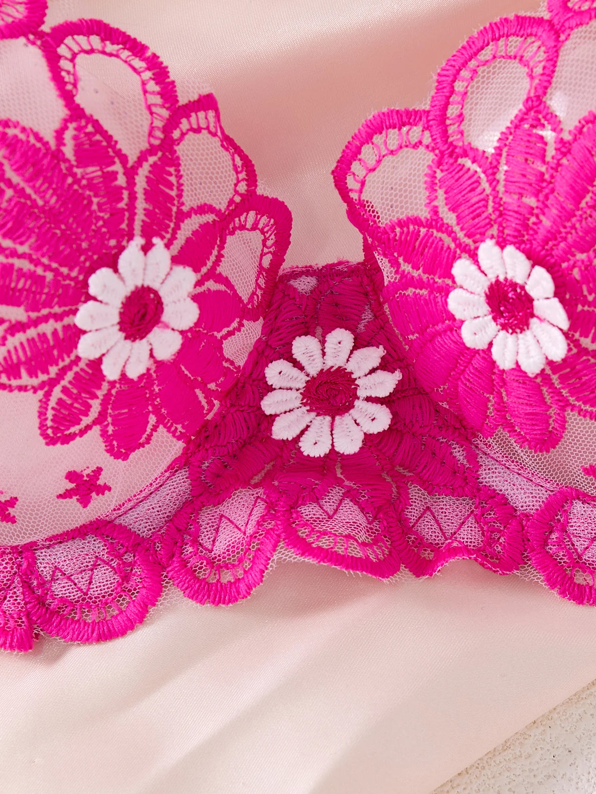 Rose Pink Daisy Embroidered Bra & Thong Set