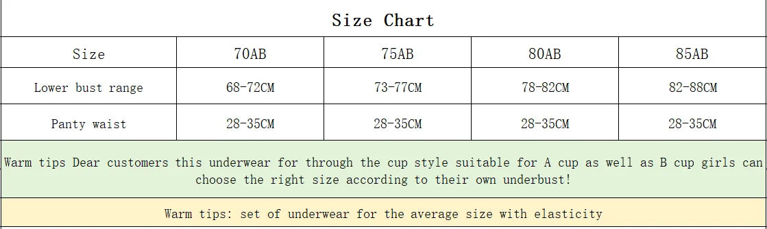 Women's Embroidered Lace Support Bra Set