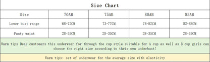 Women's Embroidered Lace Support Bra Set