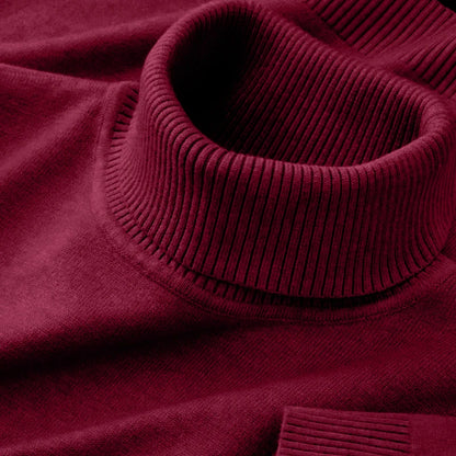 2026 New Mens Knitted Sweaters Solid Color Turtleneck Breathable Pullovers Warm Outdoor Basic Streetwear autumn Business Tops