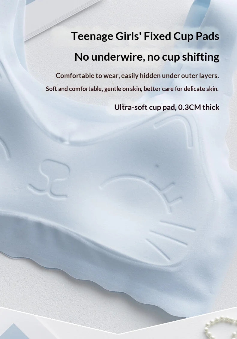 Wireless Ice-Silk Comfort Bra