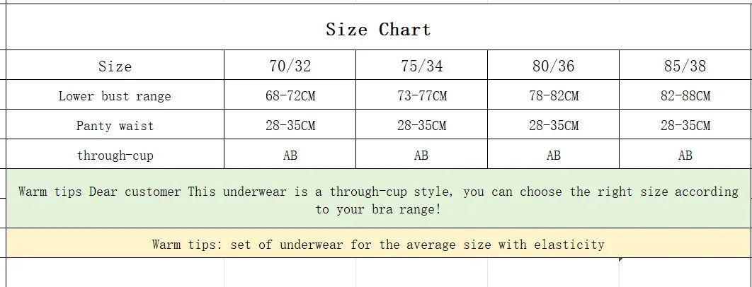 Women's Embroidered Lace Bra Set