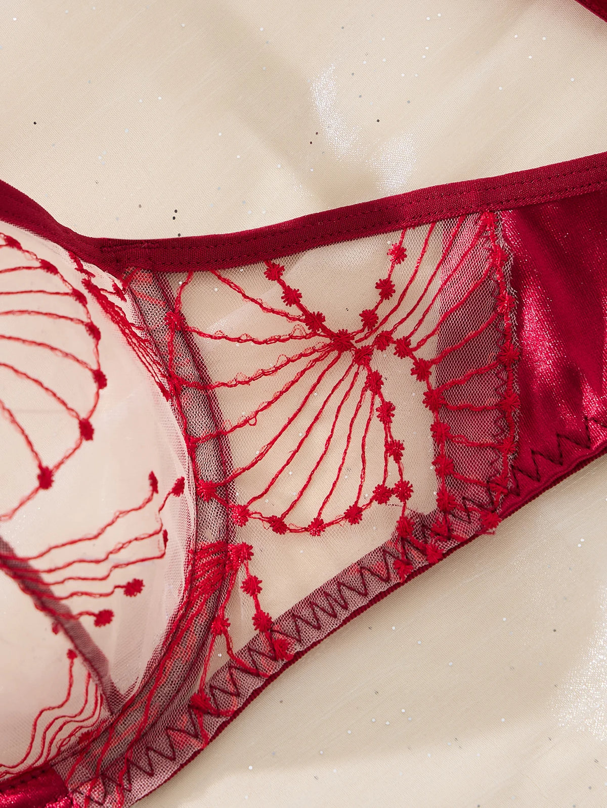 Wine Red Embroidered Mesh Bra & Thong Set