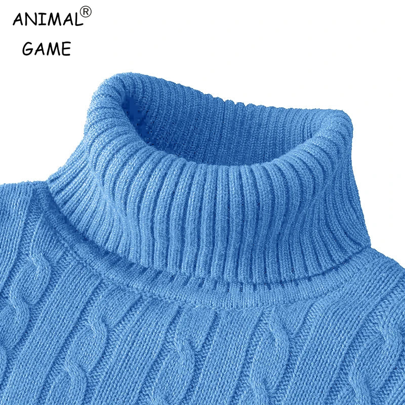Men's Knit Turtleneck Pullover