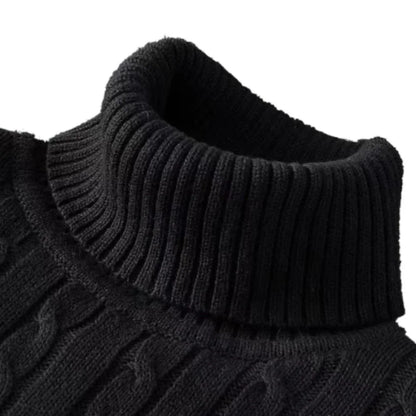 Men's Solid Knit Turtleneck Sweater