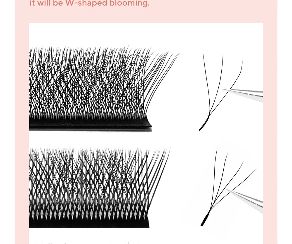 48-Row W-Shape Premade Lash Extensions