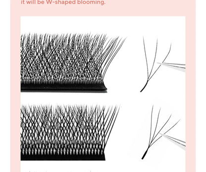 48-Row W-Shape Premade Lash Extensions