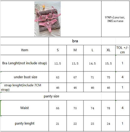 Women's Floral Embroidered Bra & Panty Set
