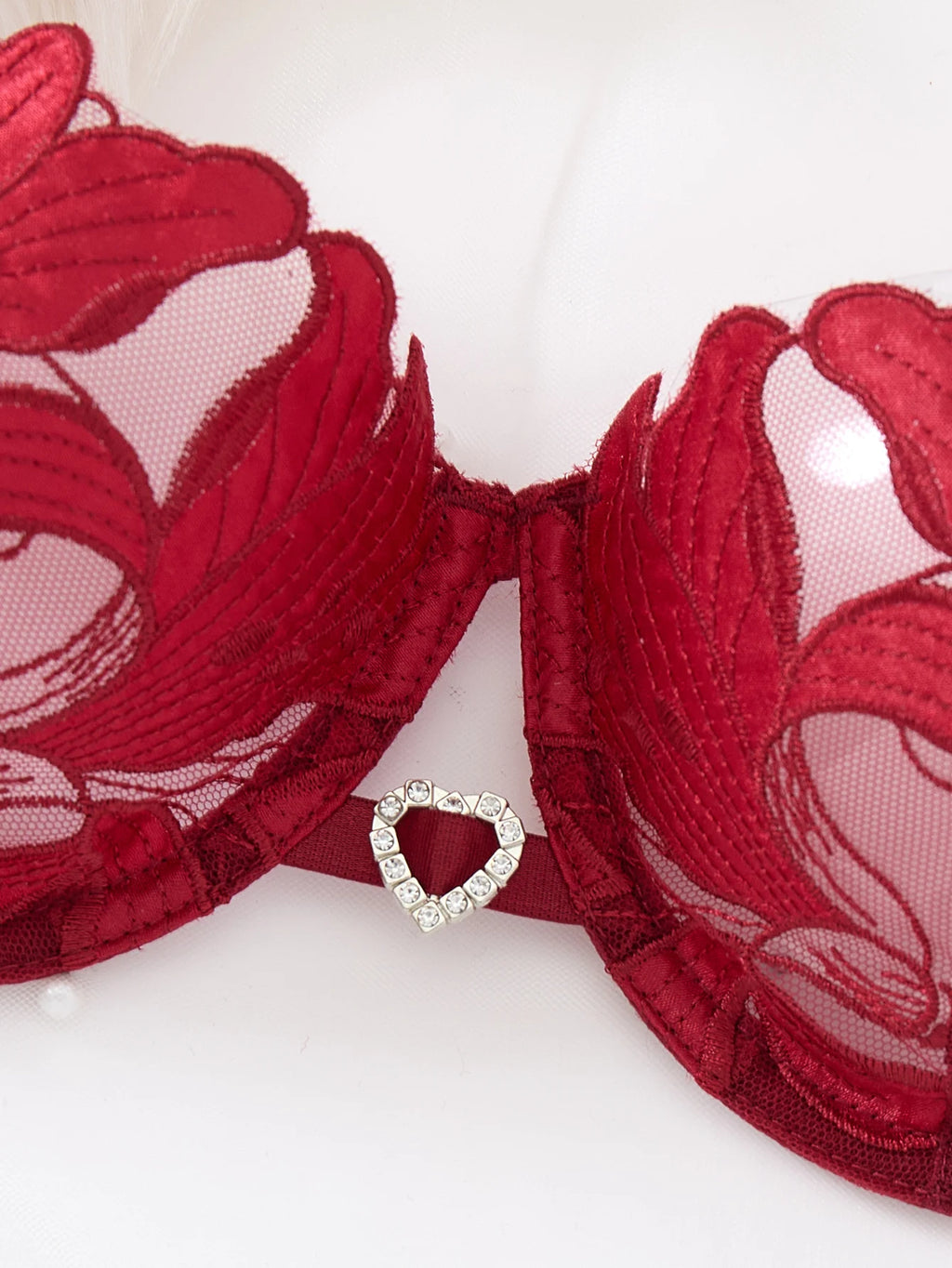 Wine Red Floral Embroidered Bra & Thong Set