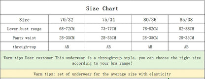 Sexy Lace Breathable Lingerie Set French-Style Small-Bust Support Bra Anti-Sagging & Side-Boob Control Soft Underwire Bra Set